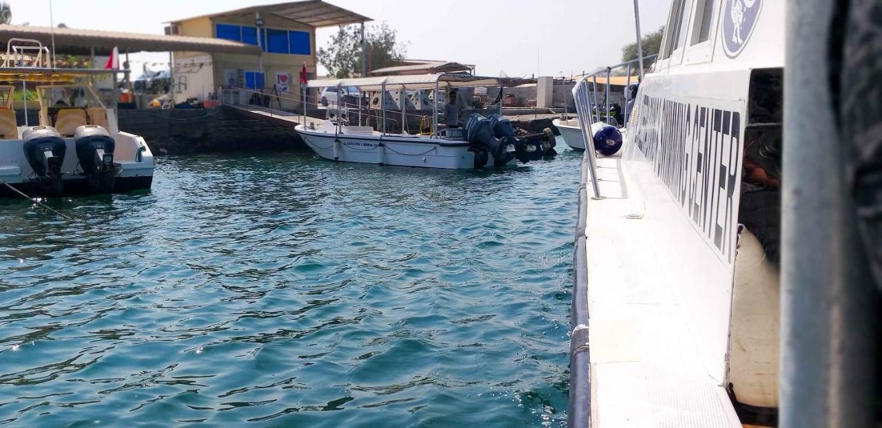 Divers Home Ρας Αλ Χαιμά Εξωτερικό φωτογραφία